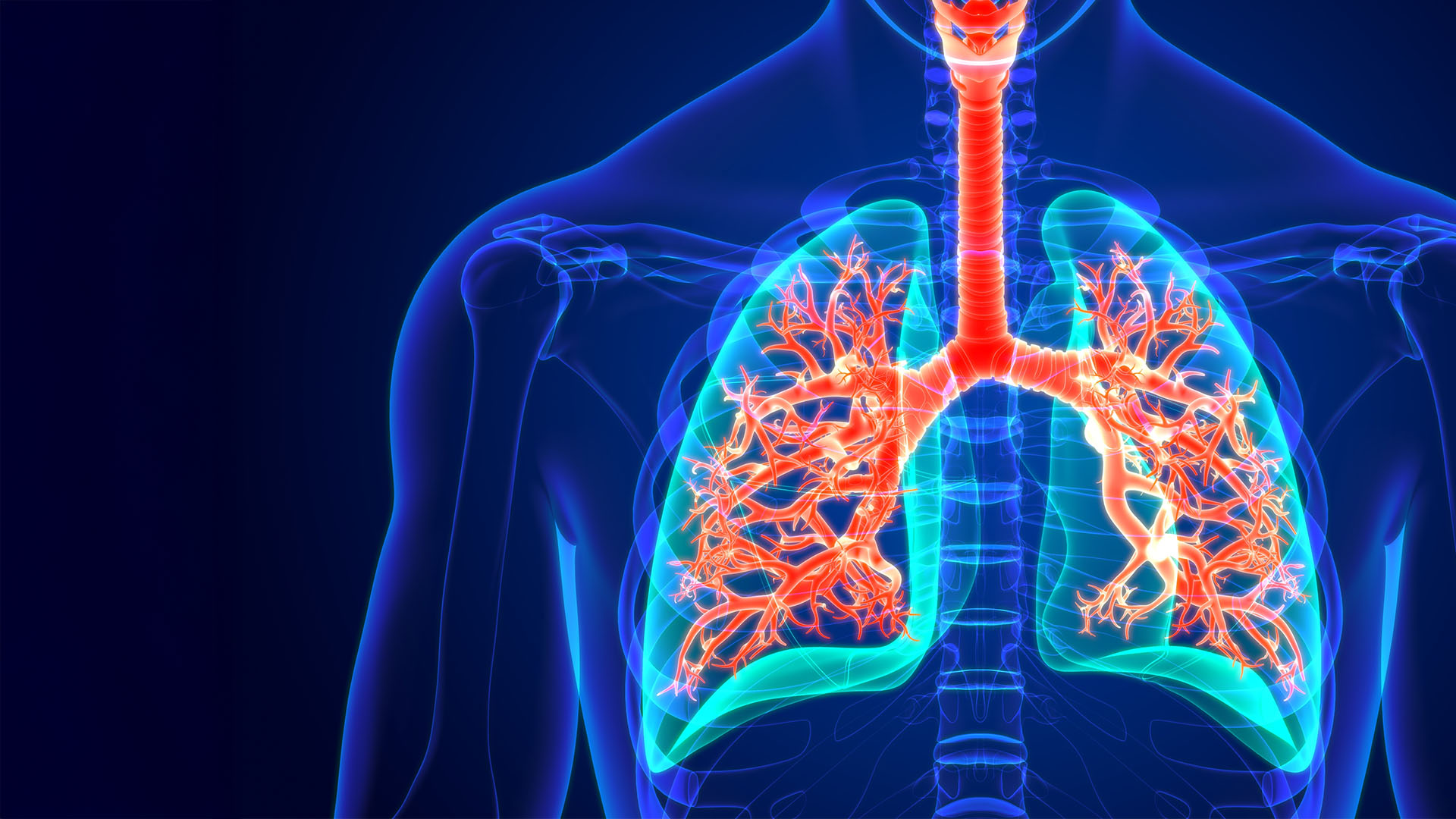 Dec 2020 - QuantiFERON-TB Gold Assay