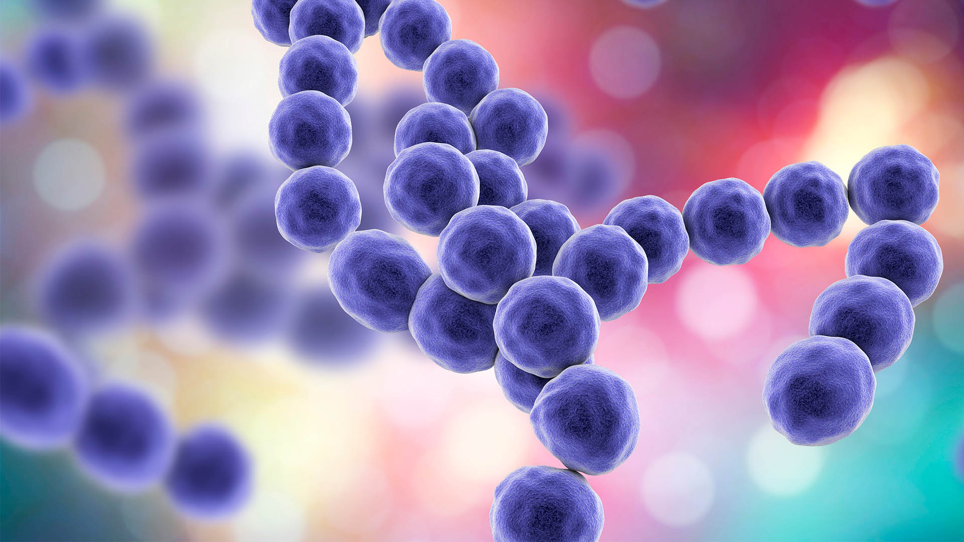 Dec 2023 - Strep A in Children