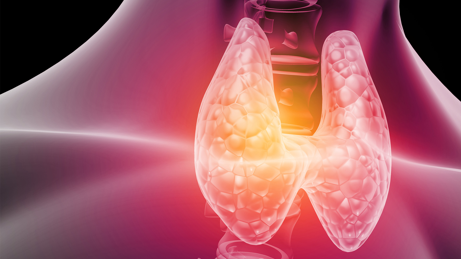 Dec 2023 - Thyroid function test