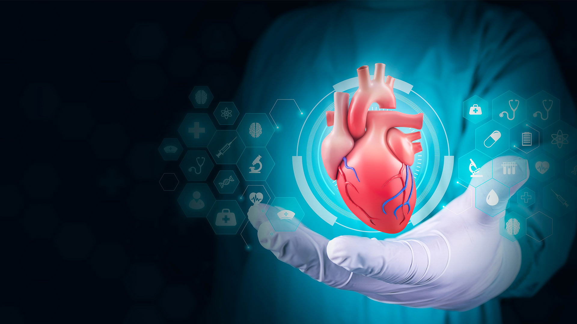 Dec 2024 - BNP Testing