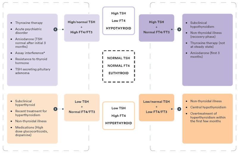 Figure. 1 Interpreting thyroid function test results - December 2023
