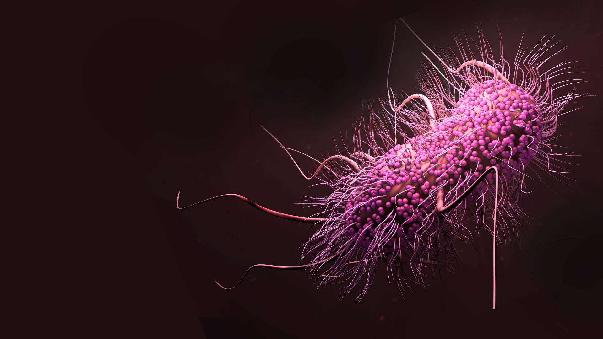 June 2023 - Antimicrobial resistance