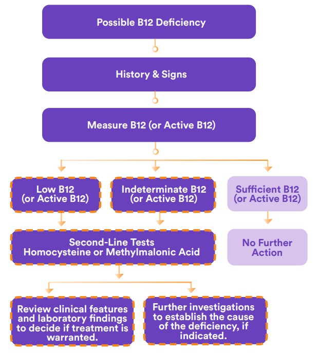 New B12 Testing Diagnostic Pathway June 2025