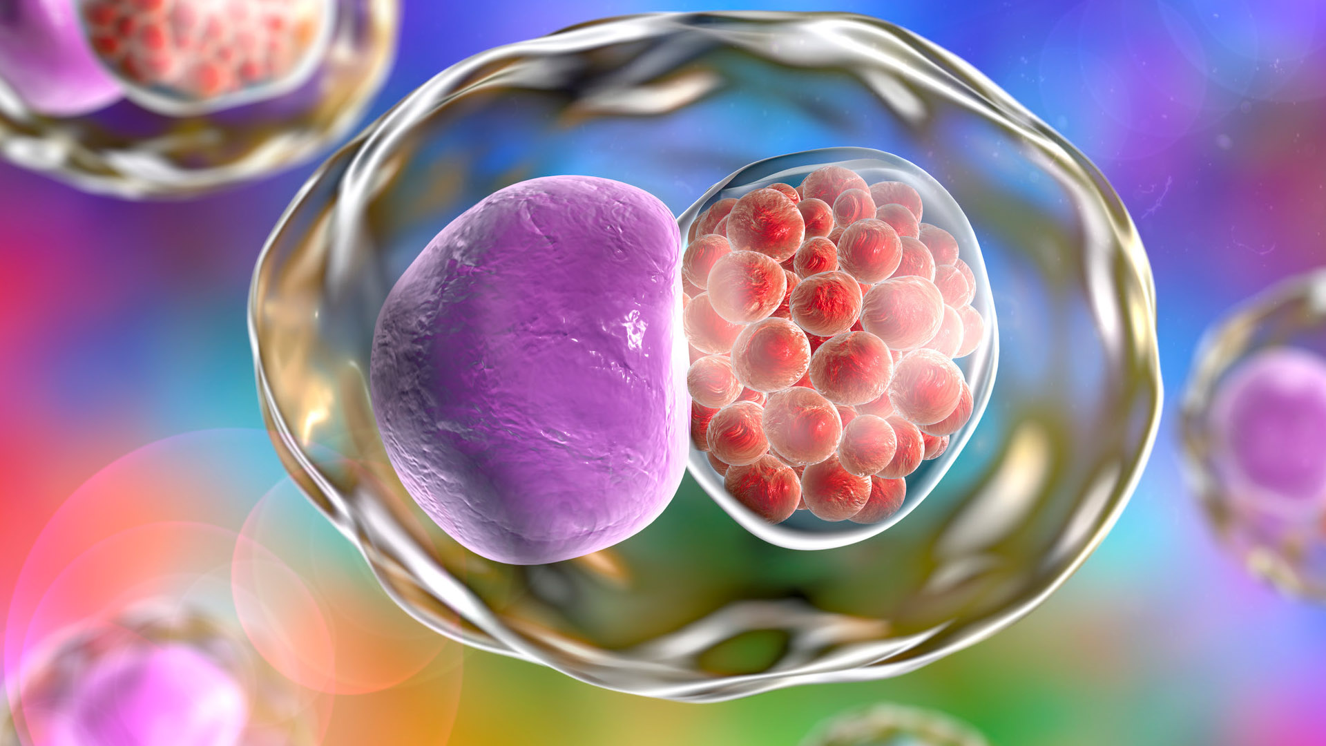 Oct 2018 - Spotlight on STI testing