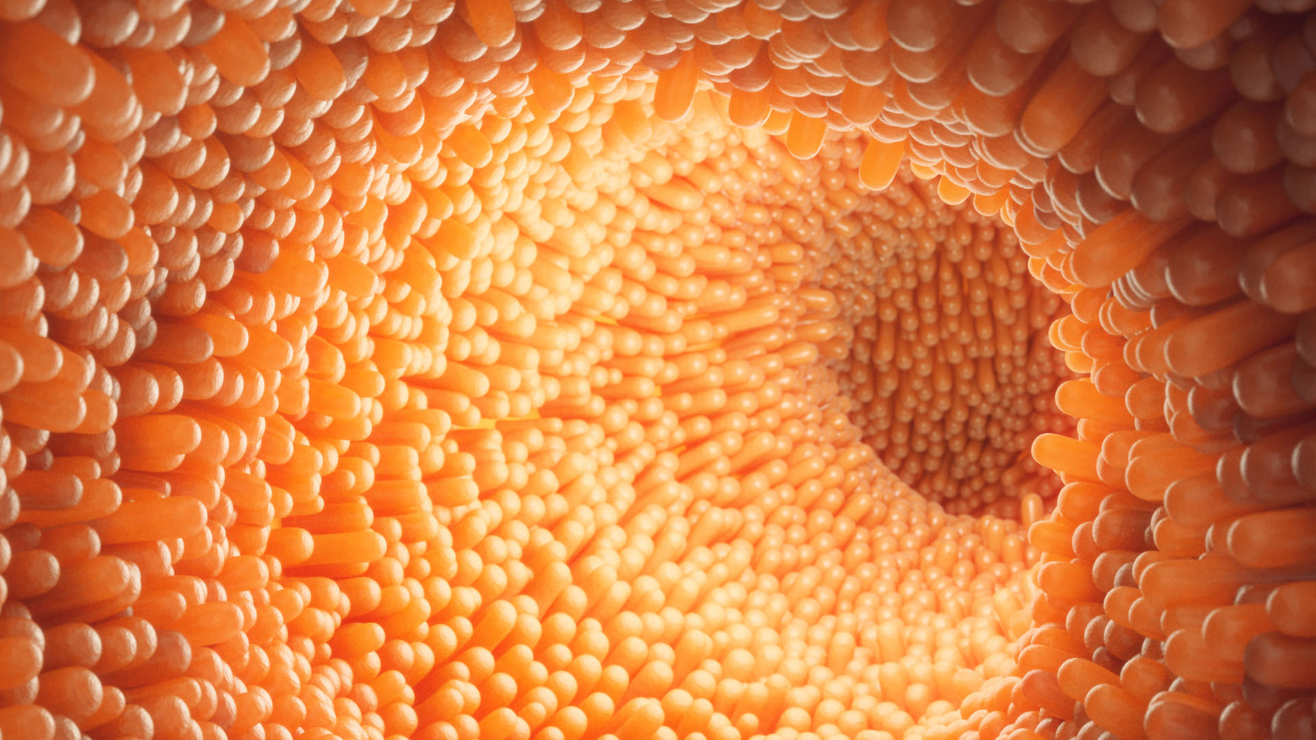 Oct 2019 - Coeliac Disease