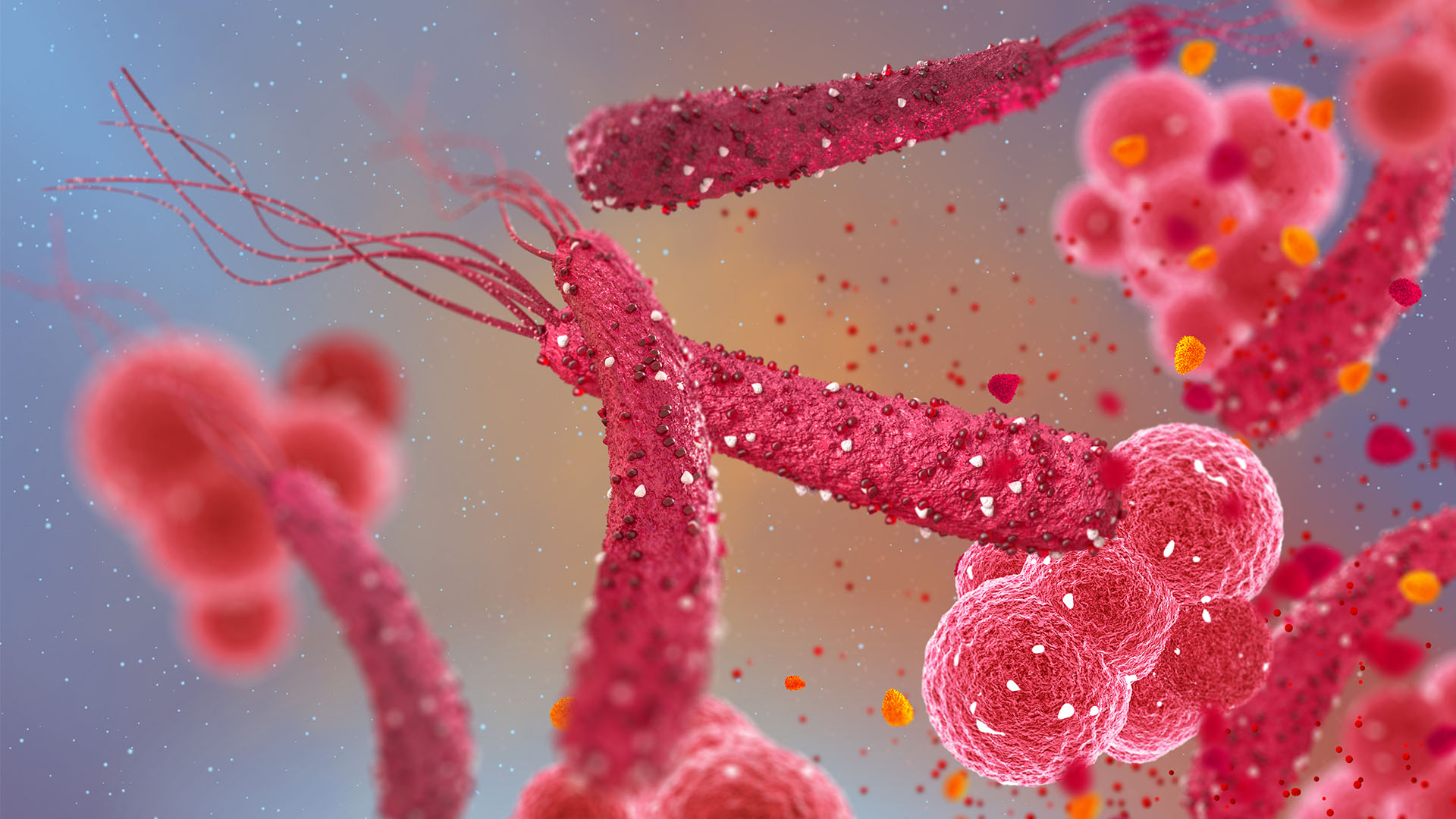 Sept 2024 - Diagnosing H Pylori