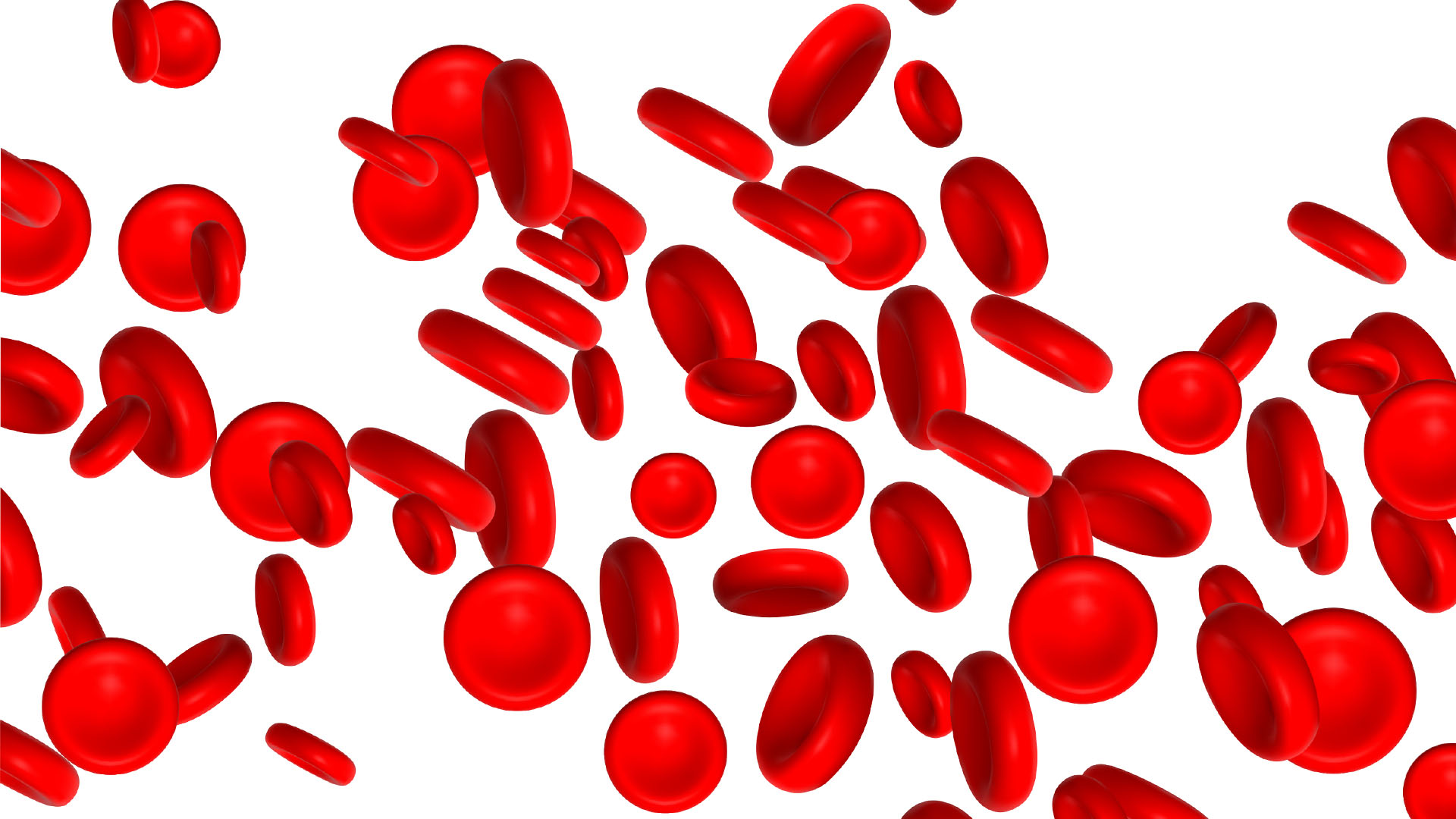 Sept 2024 - Fatigue in Women