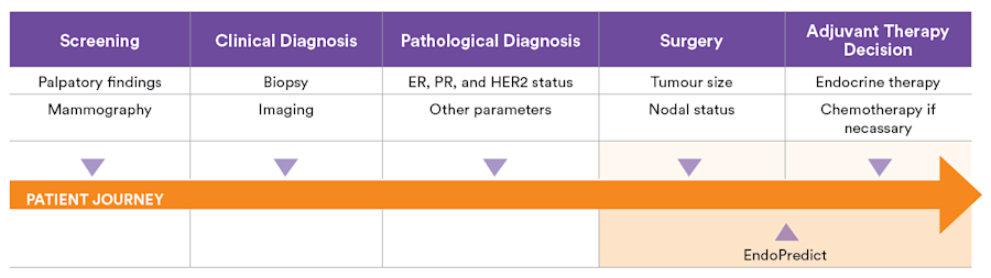 EndoPredict - when to use - September 2023