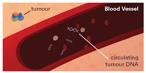 Figure 1. Circulating tumour DNA (ctDNA) - aspect liquid biopsy - october 2022