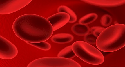 Blood Transfusion Red Blood Cells